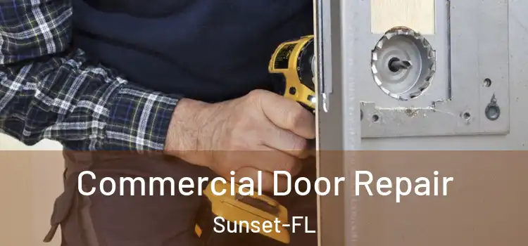 Commercial Door Repair Sunset-FL