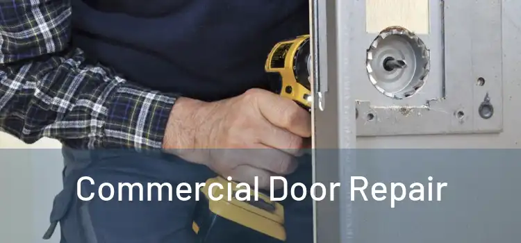 Commercial Door Repair