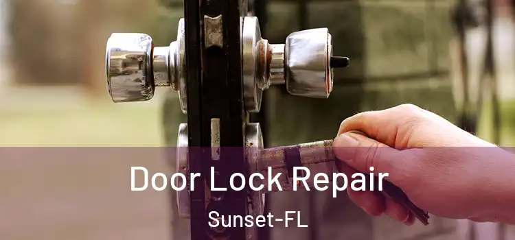 Door Lock Repair Sunset-FL