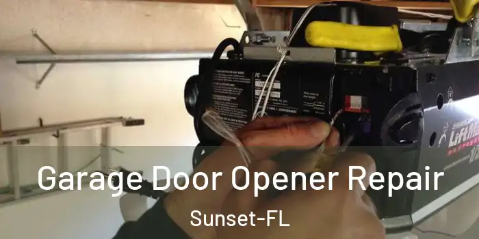 Garage Door Opener Repair Sunset-FL
