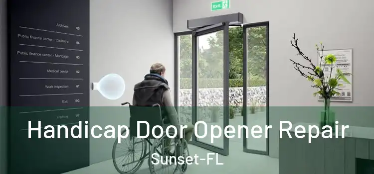 Handicap Door Opener Repair Sunset-FL