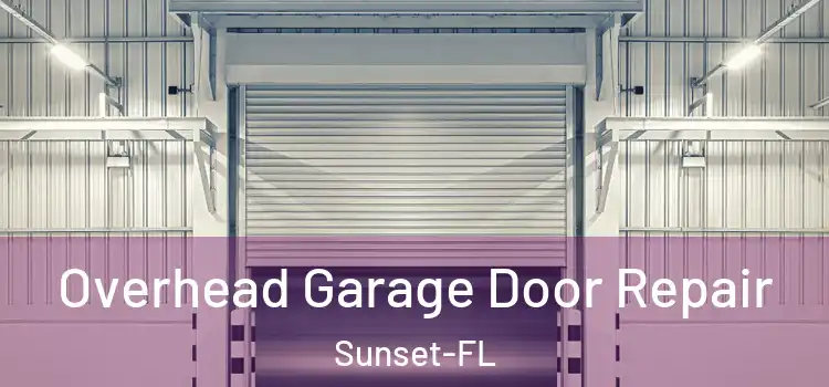 Overhead Garage Door Repair Sunset-FL