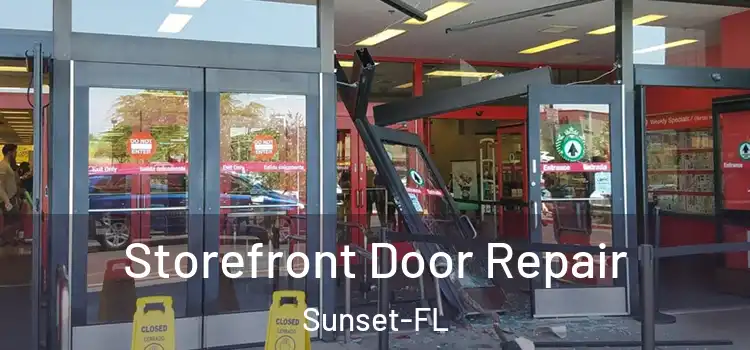 Storefront Door Repair Sunset-FL